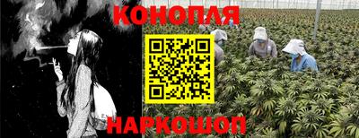 эйфоретик Новокубанск