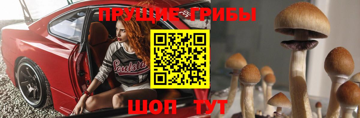 Галлюциногенные грибы прущие грибы  Вход с VPN  Уварово  Галлюциногенные грибы Psilocybe 